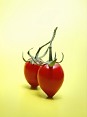A pair of tomatoes