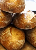 Freshly Baked Parisienne Bread Loaves