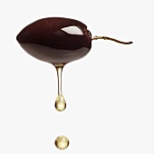 Olive oil dripping from black olive