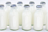 Small bottles of cream in rows