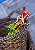 A bundle of rhubarb on a basket