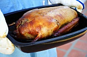 Stuffed roast goose in a roasting dish