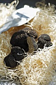 Black truffles on wood wool