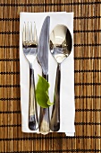 Cutlery with leaf on napkin