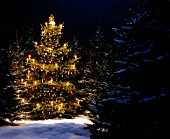 Leuchtender Weihnachtsbaum im Schnee 