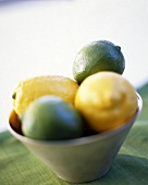 Close-up of green and yellow lemon in bowl