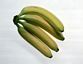 Bananenstaude freigestellt in Aufsicht