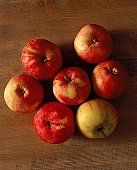 Sieben rotbackige Äpfel kreisförmig angeordnet