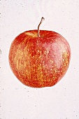 Rot-grün gesprenkelter Apfel, freigestellt, mit Lichtreflexen