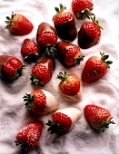 Ganze Erdbeeren in weiße und dunkle Schokolade gehüllt