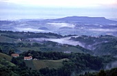 Blick über das Hügelland des Sausal in der Steiermark. Österreich