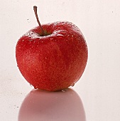 Rotbackiger Apfel Freisteller 