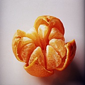 Geoeffnete Mandarine freigestellt 