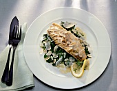 Zander fillet garnish with spinach and almonds on plate