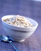 Close-up of bowl of oatmeal