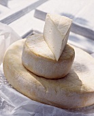 Ein Stück und zwei Laib Husumer Käse 