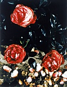 Rosensorte NOSTALGIE des Züchters Tantau