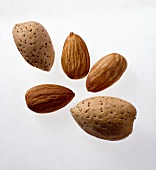 Two almonds in shell and three almond kernels on white background