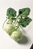 Zwei ganze Kohlrabi 