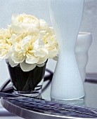 Gelbe Blumen im niedrigen Glas, neben schlanken, weißen Vasen
