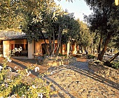 Italienischen Landvilla versteckt hinter Oliven- und Pinienbäumen