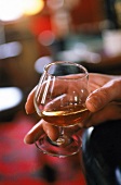 Hand mit Malt-Whisky im Glas als Stillife