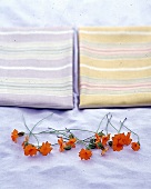 Viele kleine Blumen mit oranger Blüte liegen auf einem Tuch,Nr.1