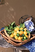 Korbschale mit Zitronen und Limonen arrangiert