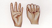 Yogaübung (Hand)Tse-Mudra / Übung der drei Geheimnisse