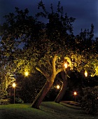 Beleuchteter Garten - Lampen im Apfelbaum und Steckleuchte im Rasen