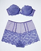 BH und French Knickers aus blauem Tüll und Spitze.