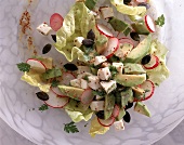 Avocado-Radieschen-Salat mit Kerbel Dressing