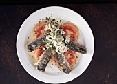 Tapas: Makrelensalat mit Tomatenscheiben
