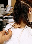Frau hält den Kopf seitlich nach unten,die Haare werden geschnitten