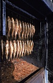 Salzkammergut: Fische werden geräuchert
