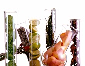 Various glass flasks filled with herbs, flowers and fruits against white background