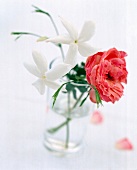 eine weiße und eine rote Blume im Wasserglas