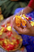 Flechten von Gebetsblumenketten in Kerala