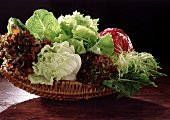 Ein Korb mit unterschiedlichen Blattsalaten