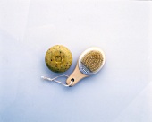 Seaweed soap and mini brush with cactus fibers on white surface