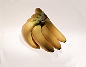 Sieben Bananen - Freisteller 