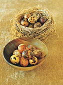 Quail eggs in nest and horn bowl