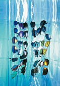 Various sunglasses hanging on blue plastic film