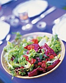 Verschiedene Blattsalate, Himbeeren, Begonien u. Fleissige Lieschen