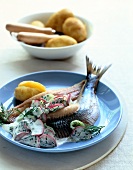 Close-up of soused herring with radish dip on blue plate