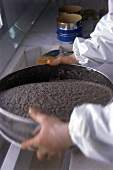 Osietra-Kaviar-Rogen wird in einem Sieb gewaschen