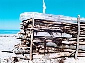 Close-up of piled logs on Darsser West beach, Baltic sea, Europe