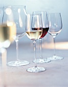 Mehrere Weingläser, je ein Glas mit Rot- bzw. Weißwein gefüllt
