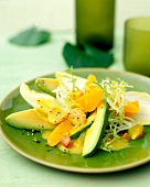 Avocado salad with oranges, chicory and curry dressing on plate