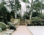 "Knightshayes", Weg mit Treppe, die vom formalen in den Waldgarten führt